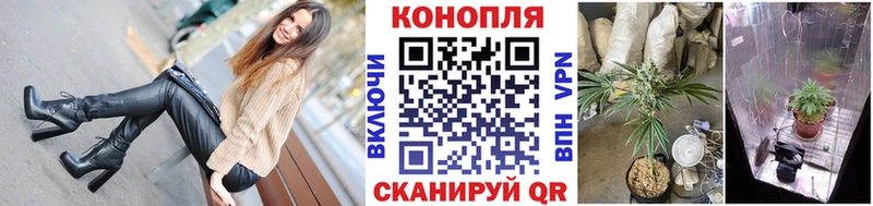 Все наркотики Елизаветинская Галлюциногенные грибы  СОЛЬ  АМФ  ГЕРОИН  COCAIN  ГАШ 